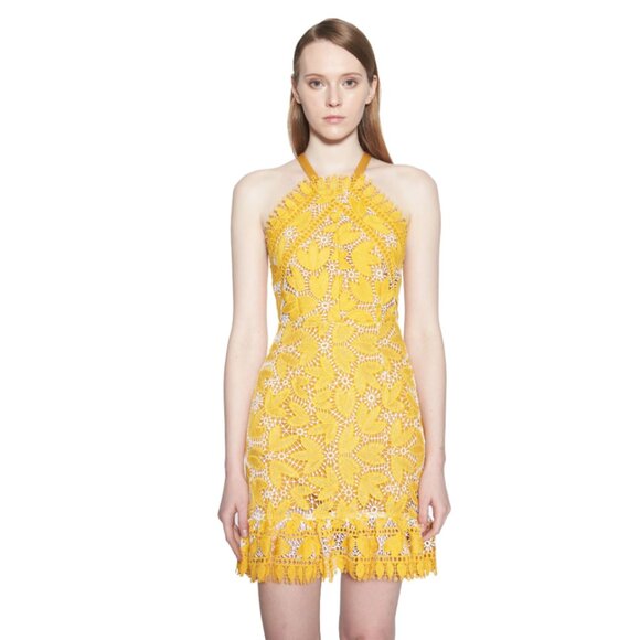 aijek Marianna Lace Embroidered Halter Dress - Picture 5 of 9